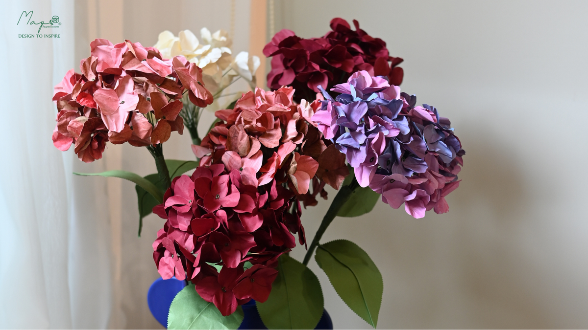 Hydrangea