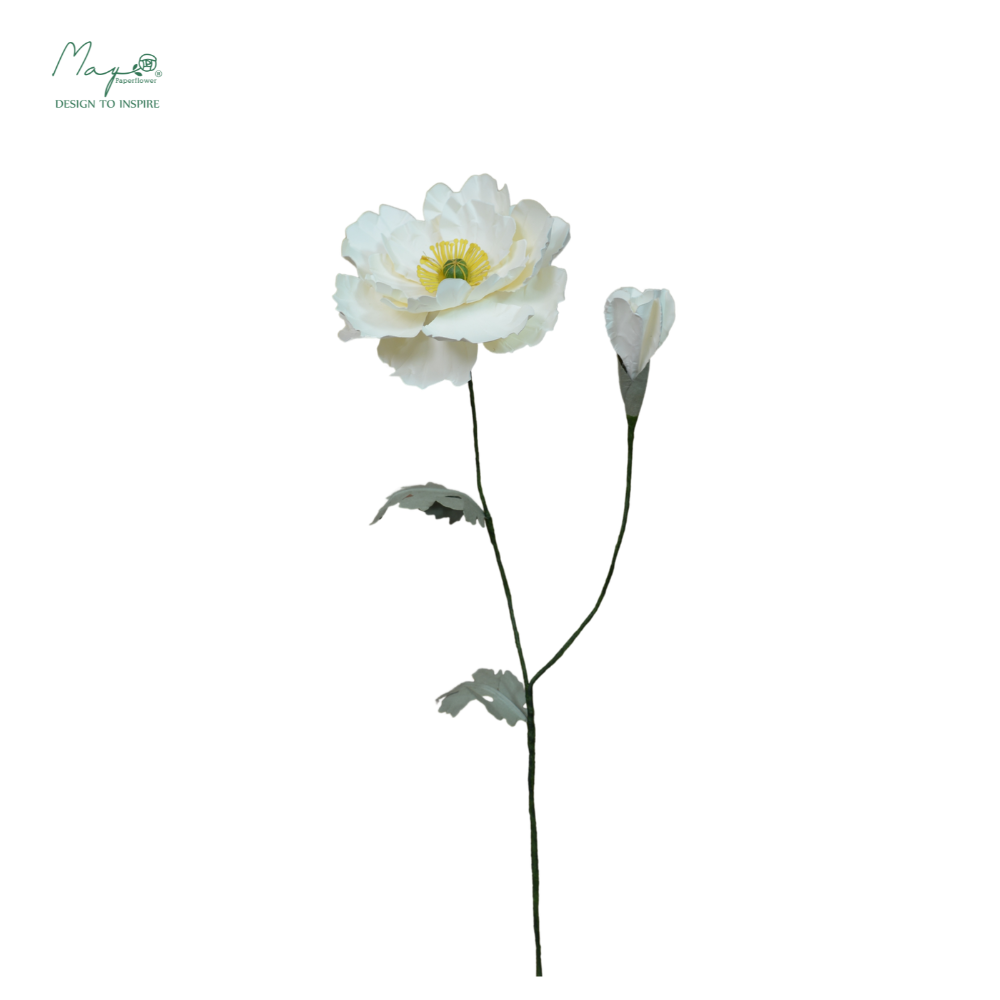 Irish Poppy