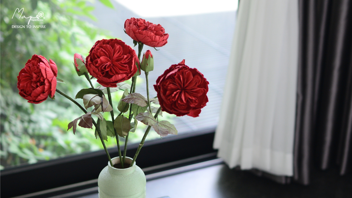 Juliet (Piano) Rose