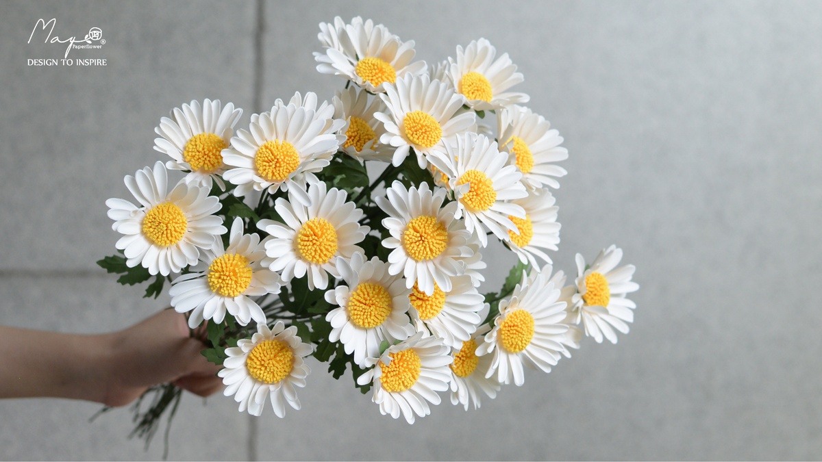 Daisy