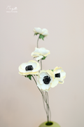 Anemone White