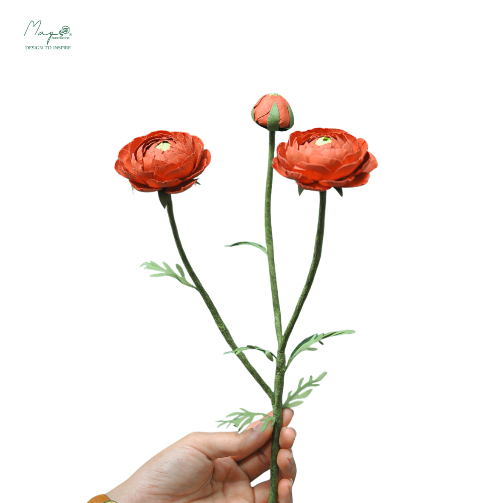 Ranunculus 3 Stems Orange