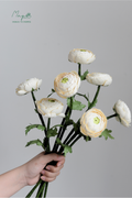 Ranunculus 3 Stems White