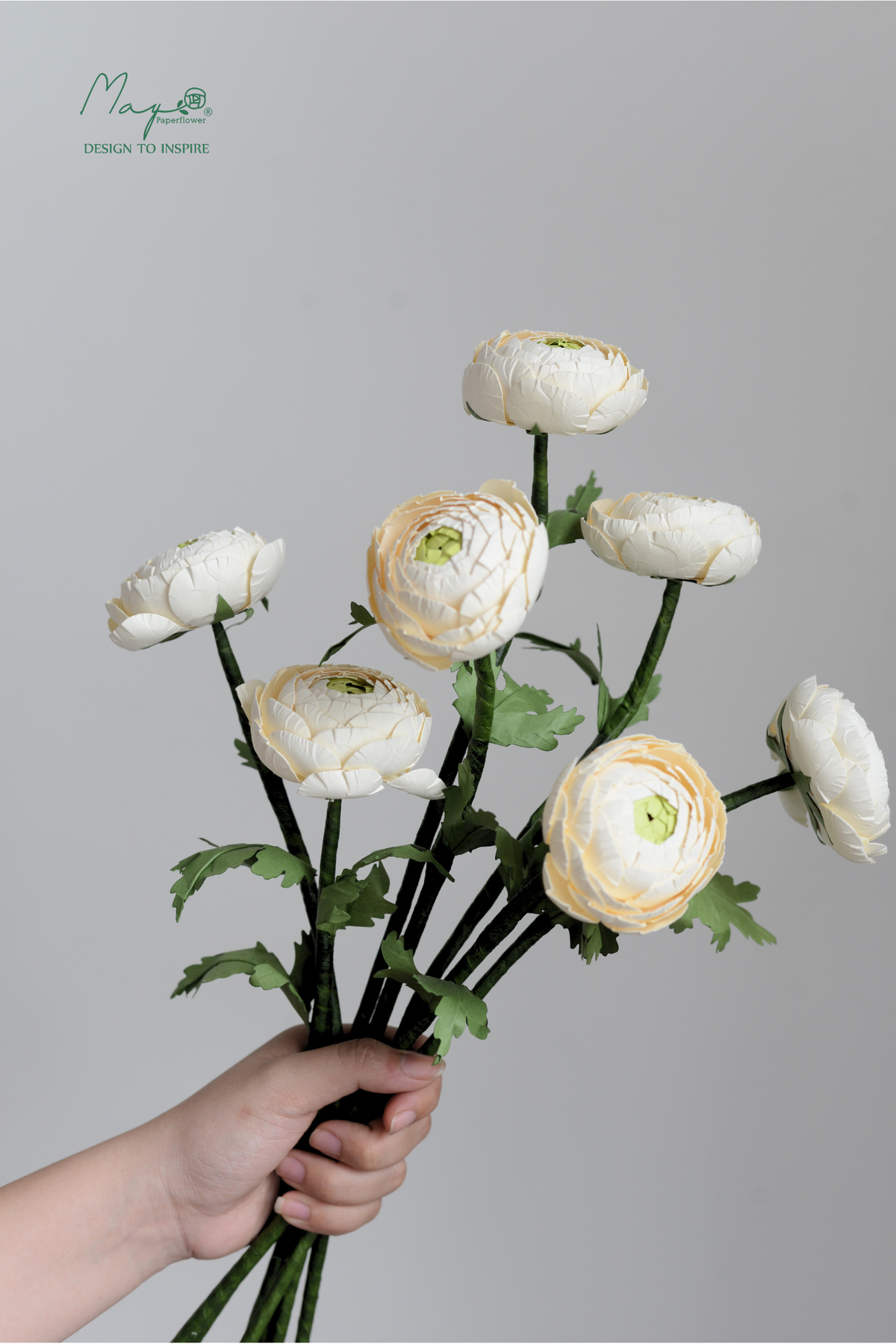 Ranunculus 3 Stems White