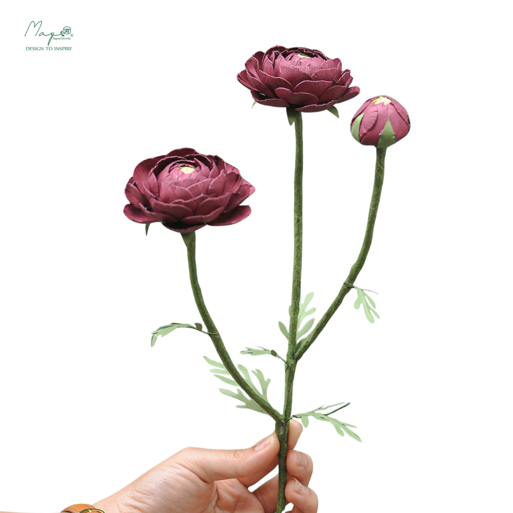 Ranunculus 3 Stems Red