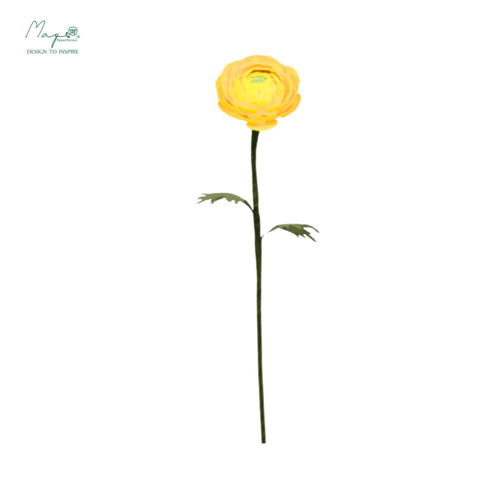 Ranunculus Yellow