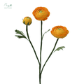 Ranunculus 3 Stems Yellow