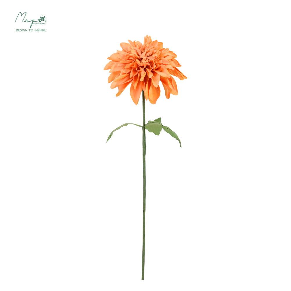 Dahlia Orange