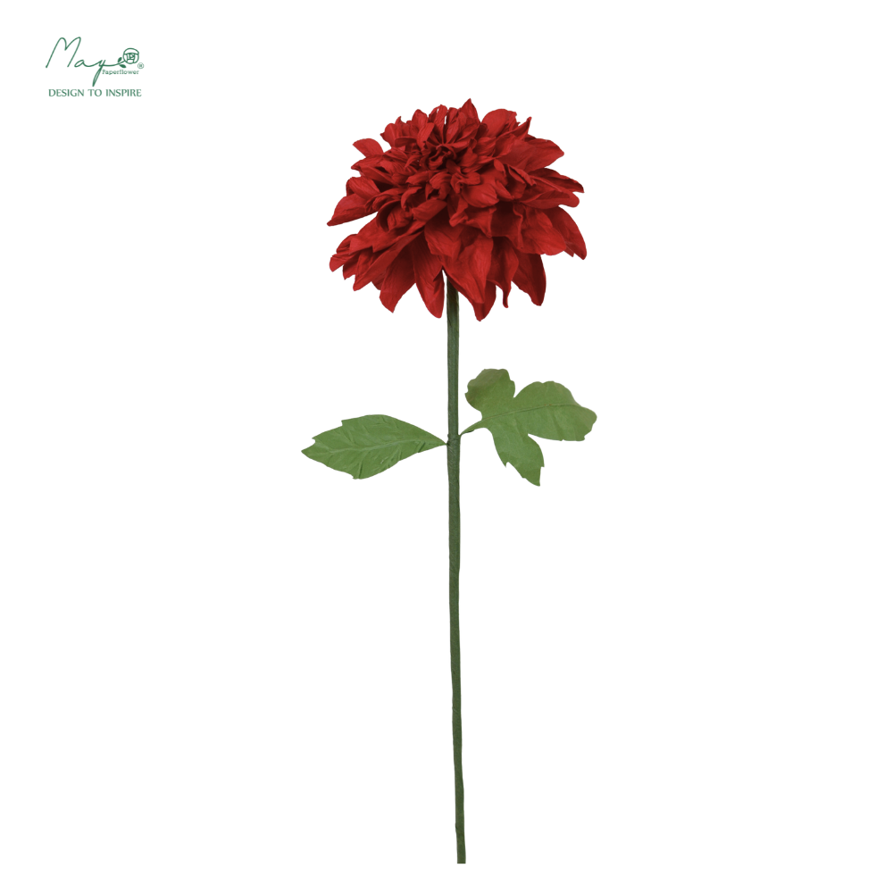 Dahlia Red