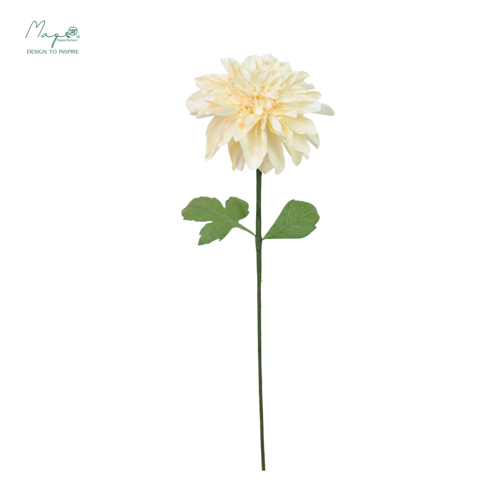 Dahlia White