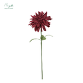 Dahlia Winered