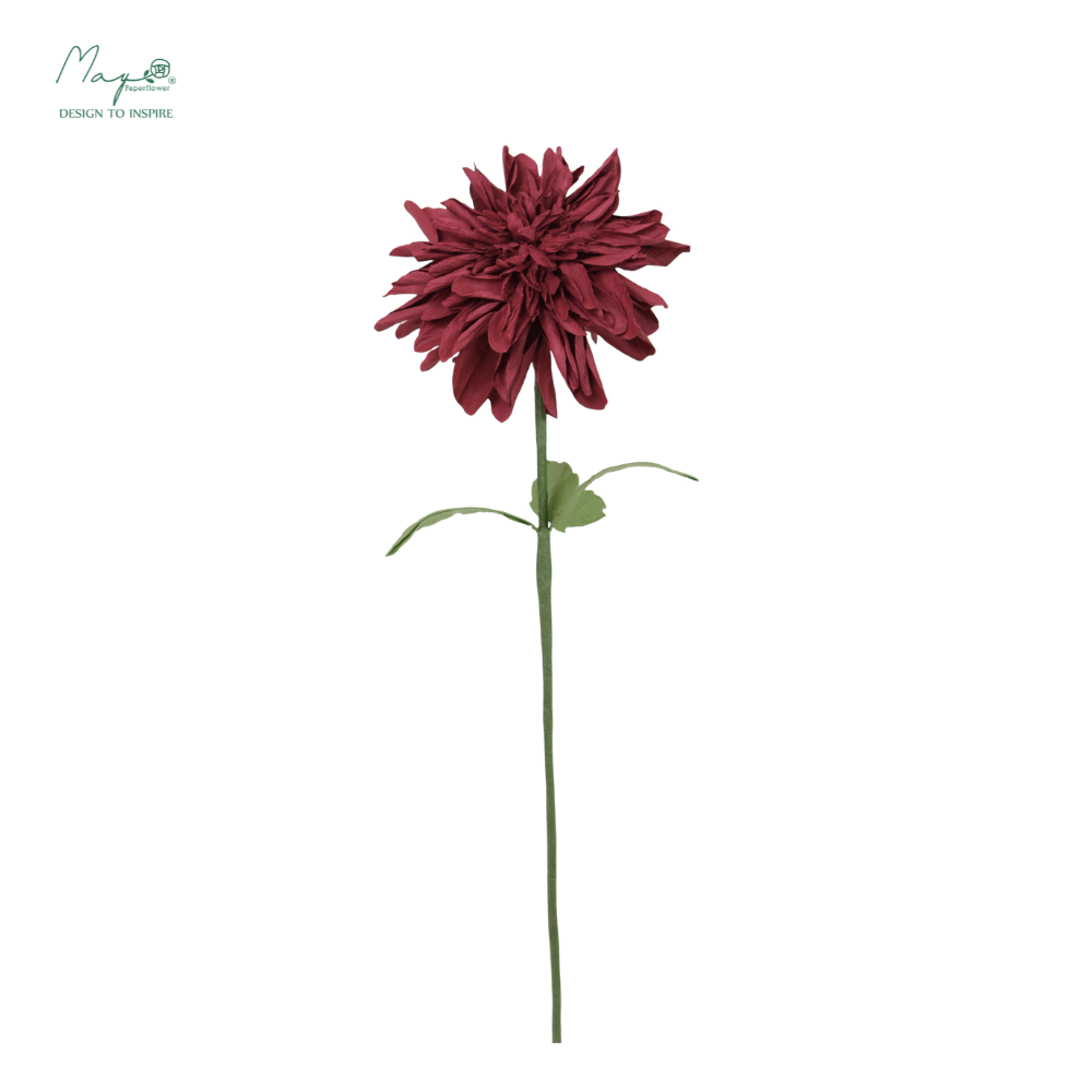 Dahlia Winered