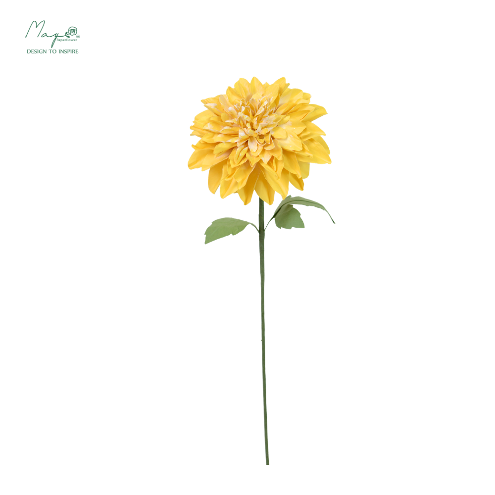 Dahlia Yellow