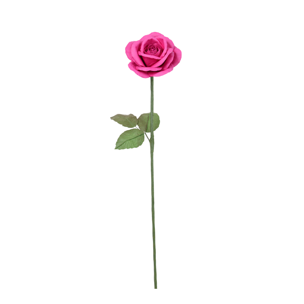 Rose Fuchsia