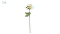 Rose White