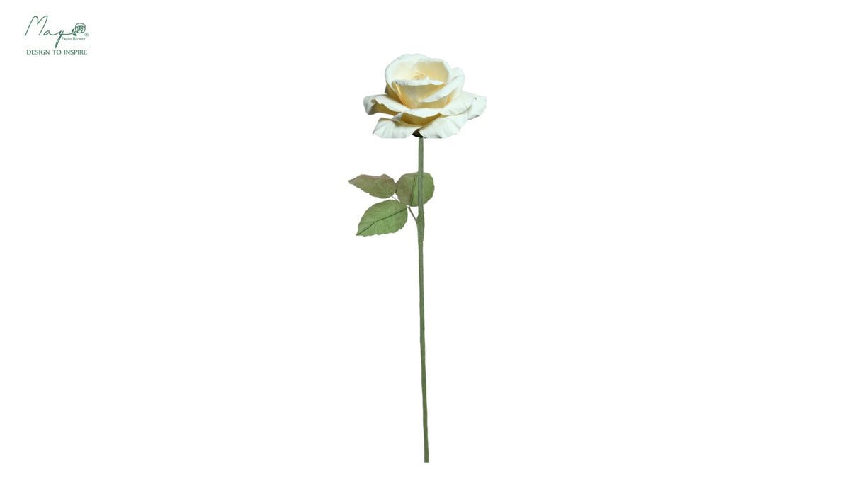 Rose White