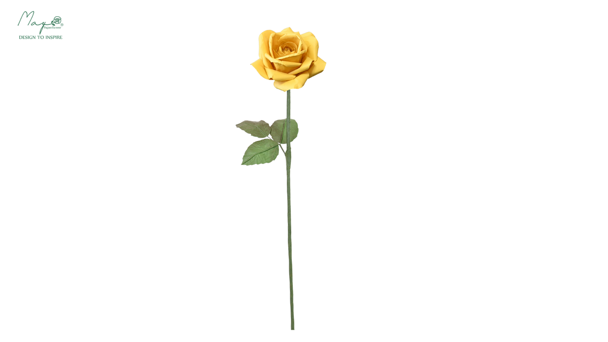 Rose Yellow