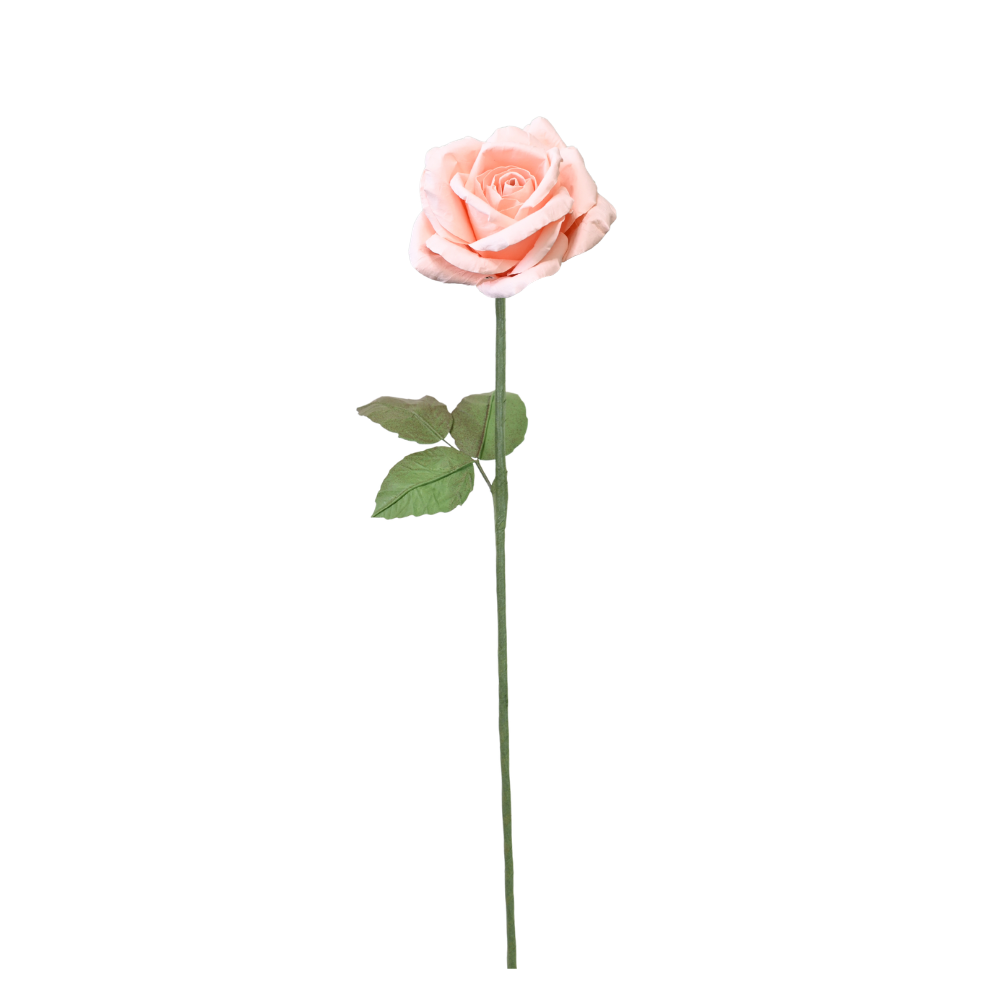 Rose Pink