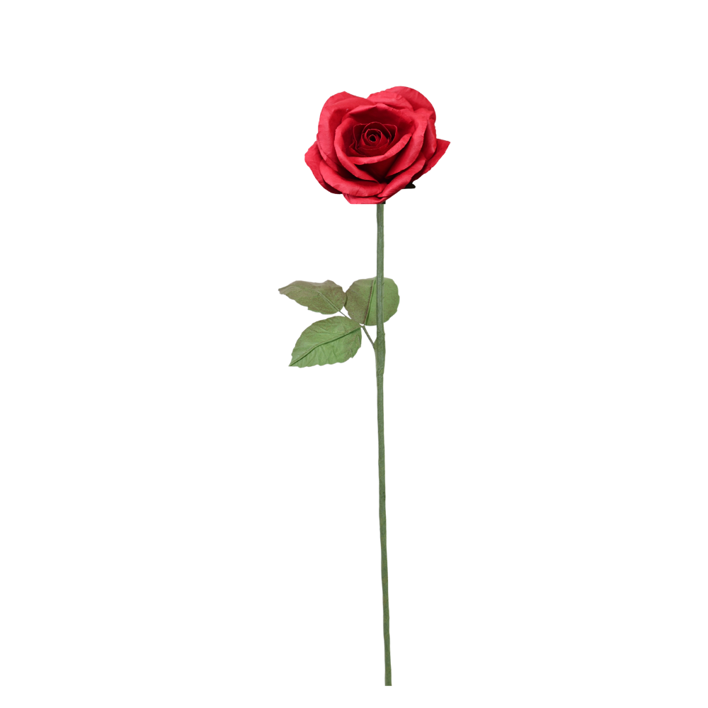 Rose Red