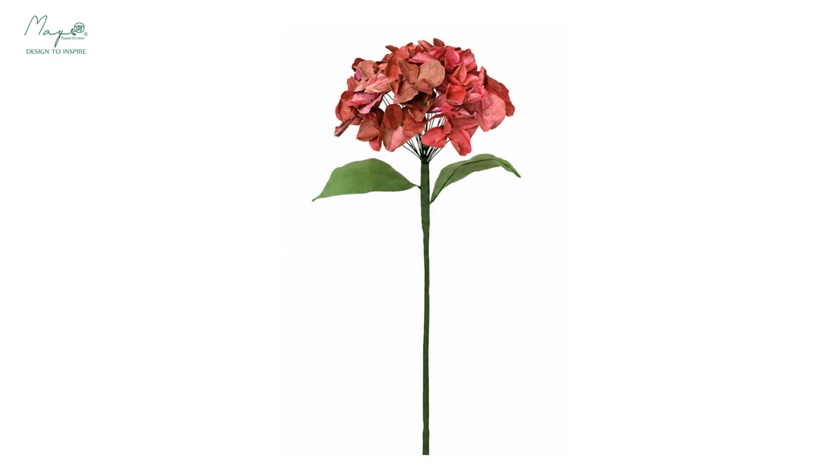 Hydrangea Pink