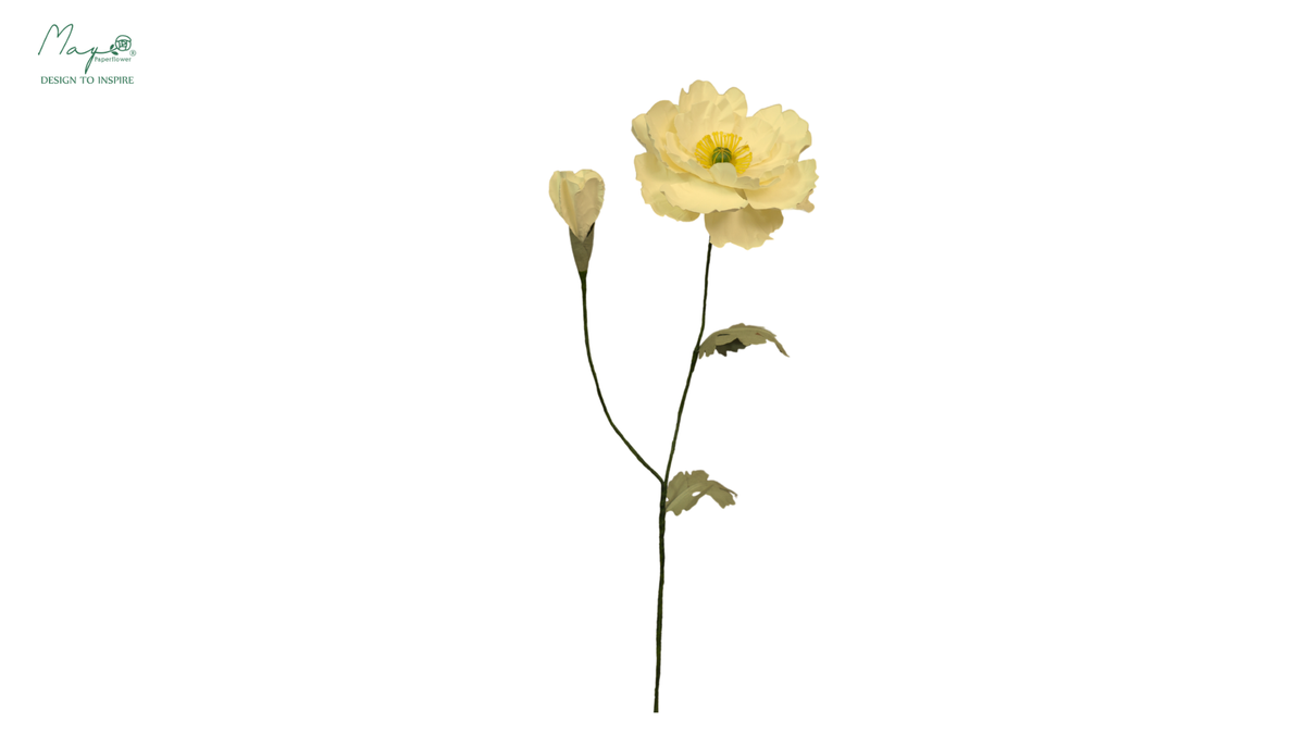 Irish Poppy Light Yellow