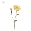 Irish Poppy Light Yellow
