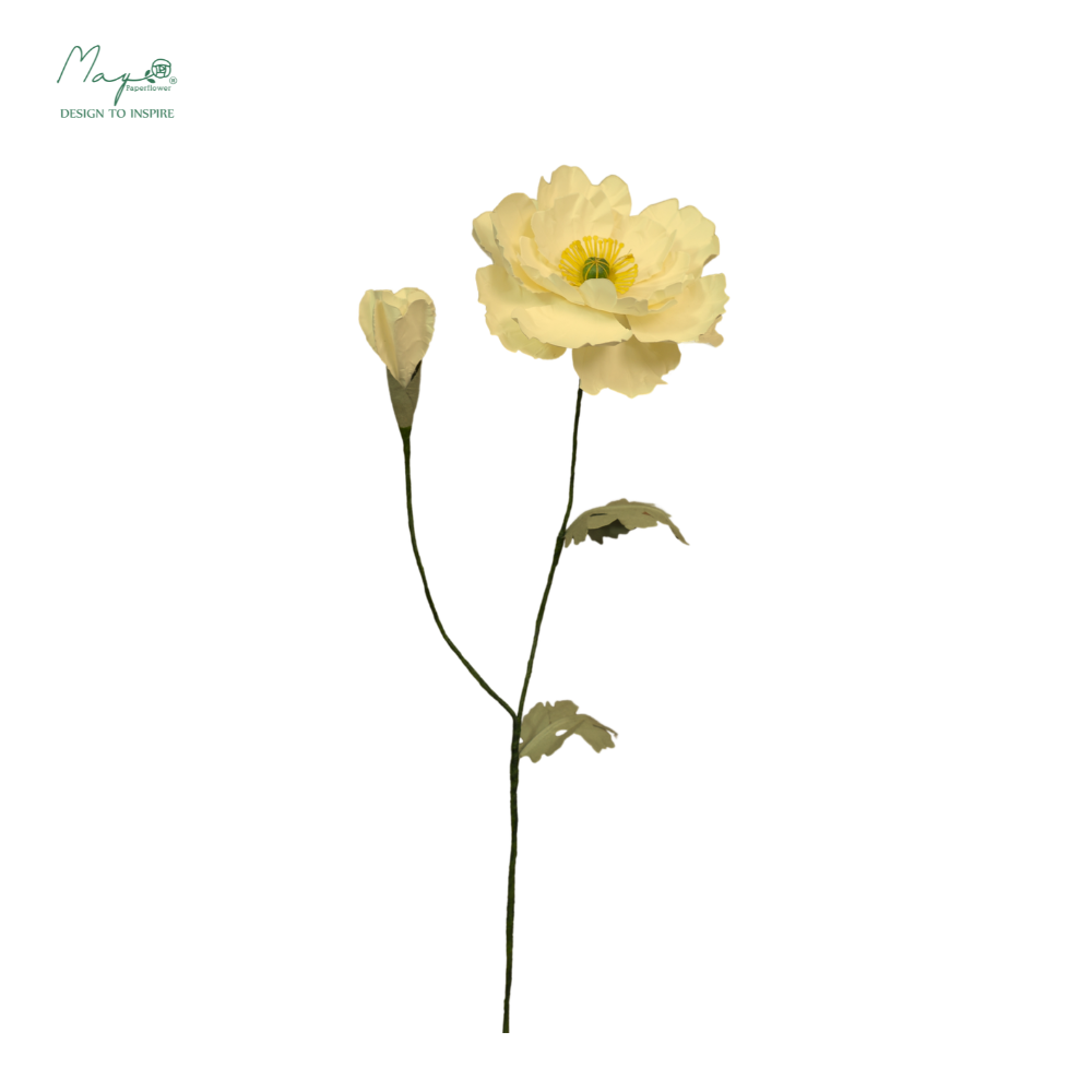 Irish Poppy Light Yellow