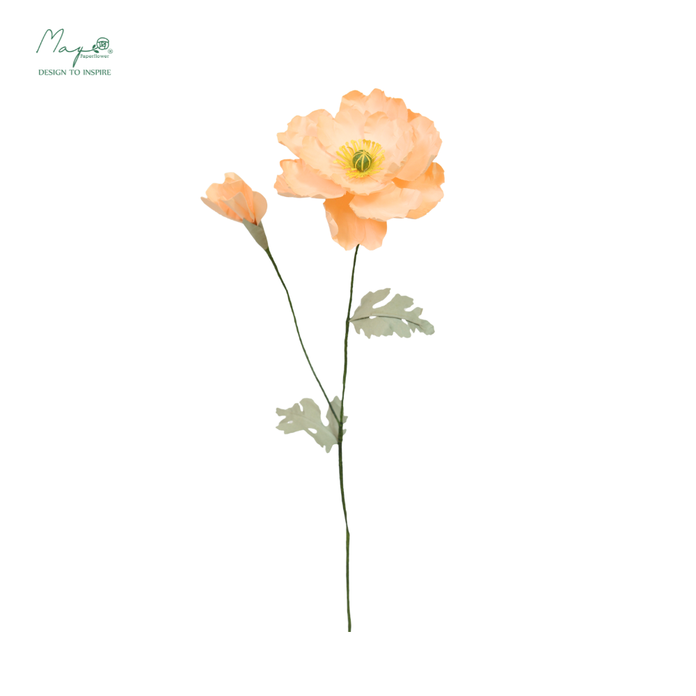 Irish Poppy Orange