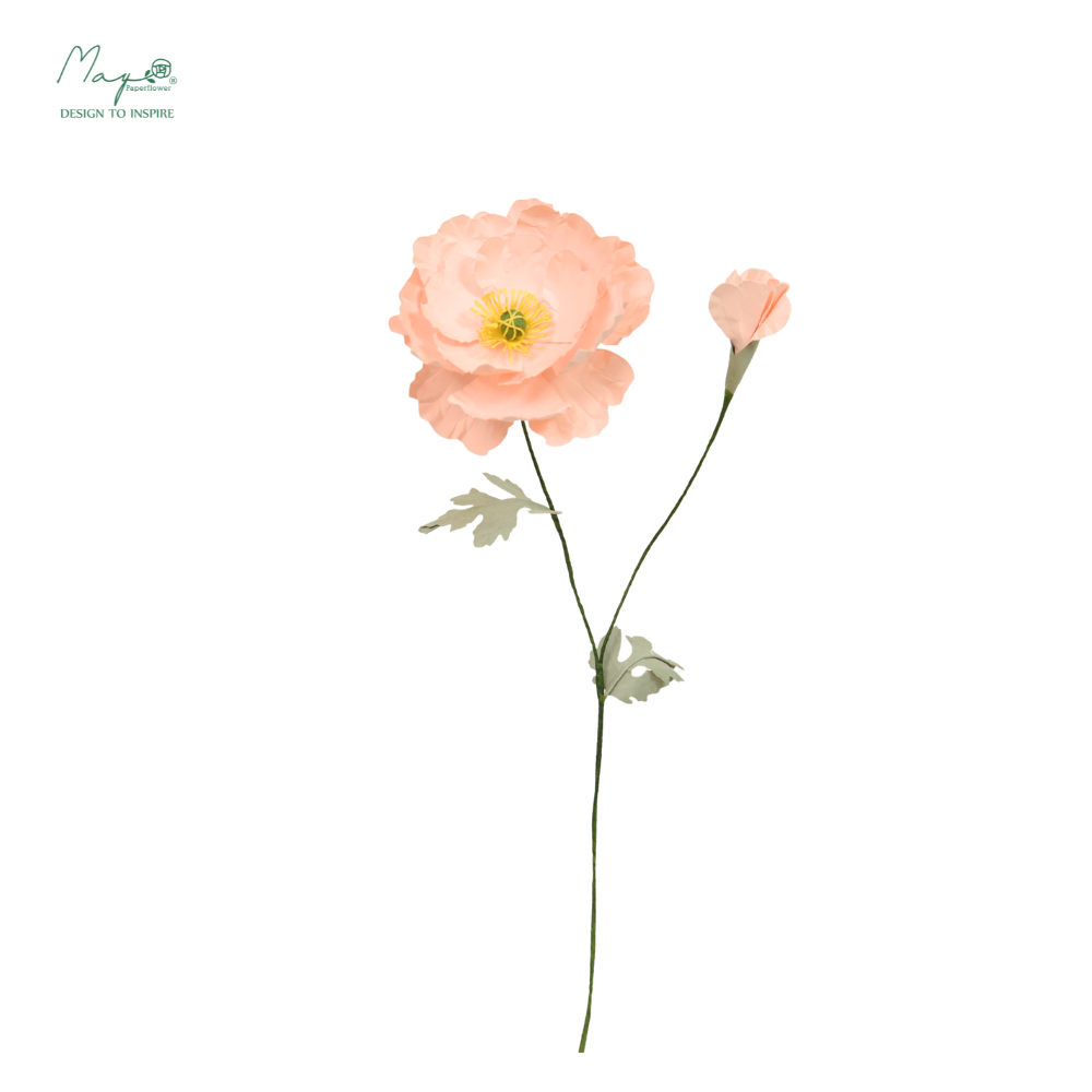 Irish Poppy Peach