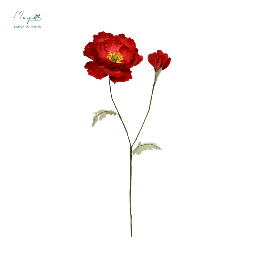 Irish Poppy Red