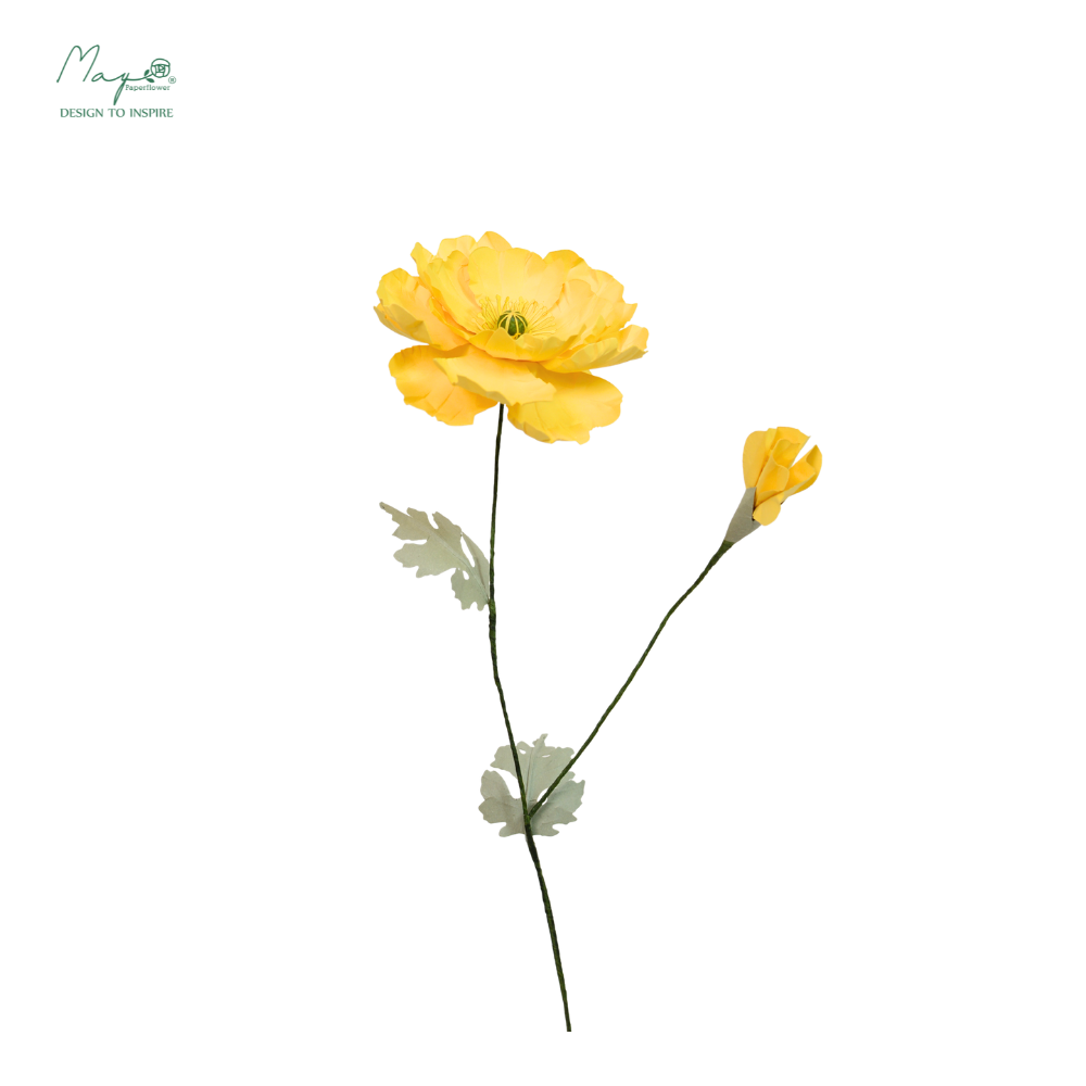 Irish Poppy Yellow