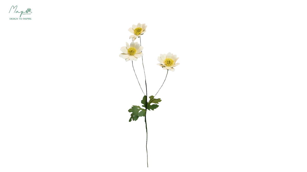 Daisy 3-stem