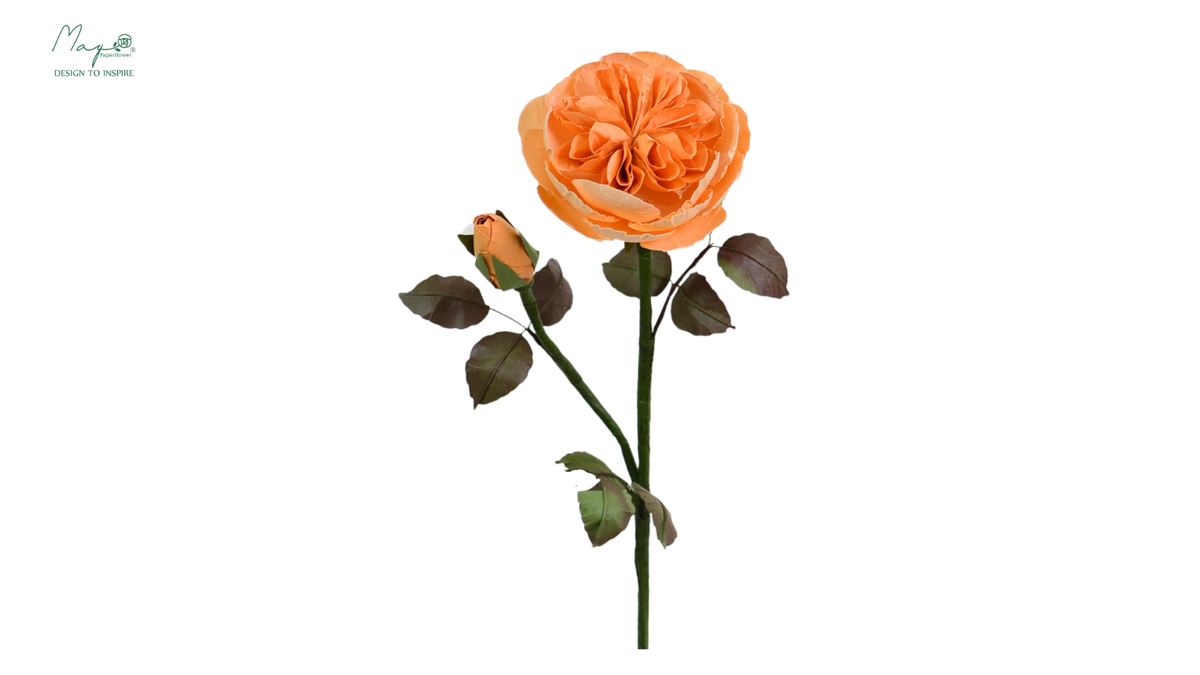 Juliet (Piano) Rose Orange