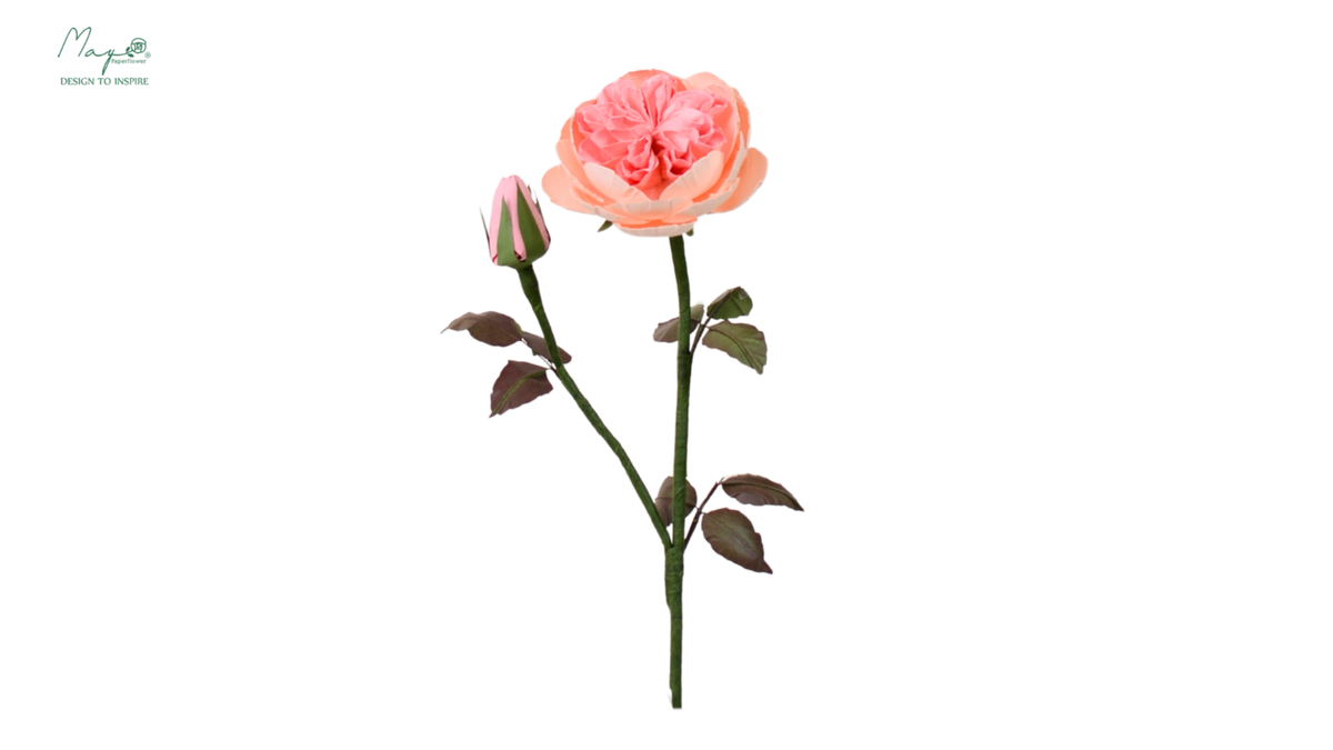 Juliet (Piano) Rose Pink