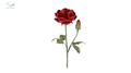Juliet (Piano) Rose Red