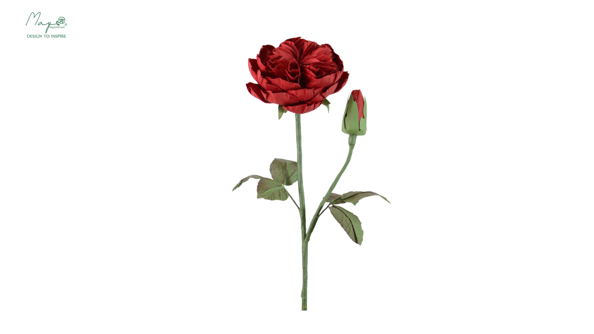 Juliet (Piano) Rose Red