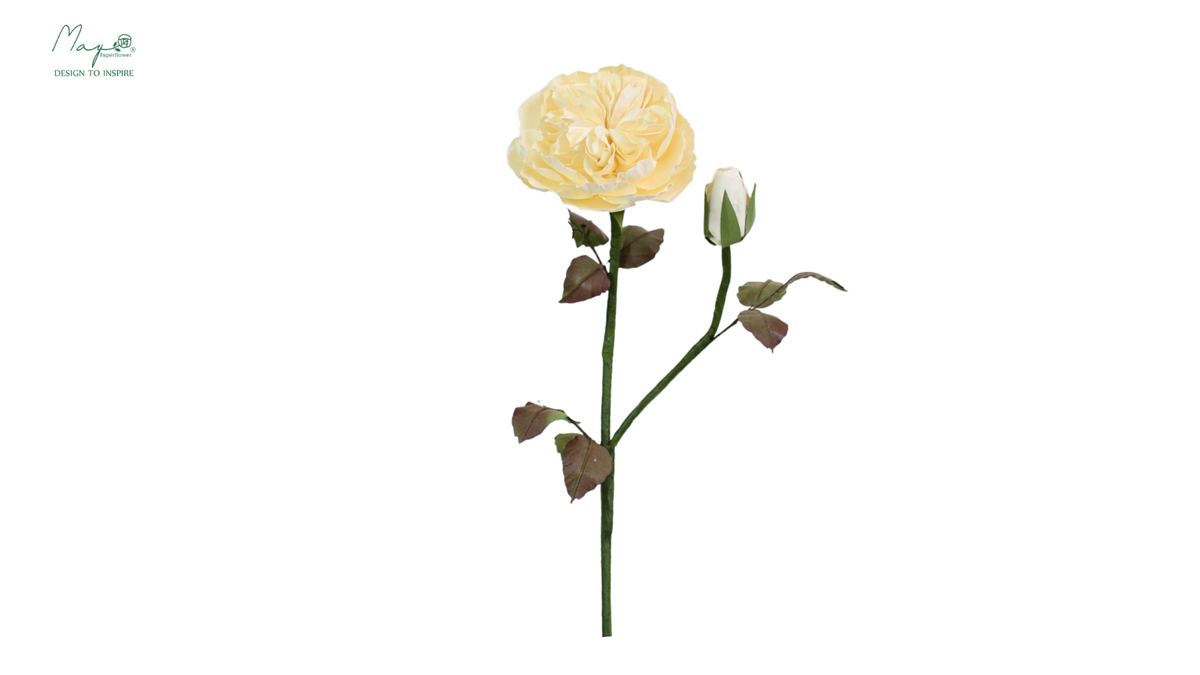 Juliet (Piano) Rose White
