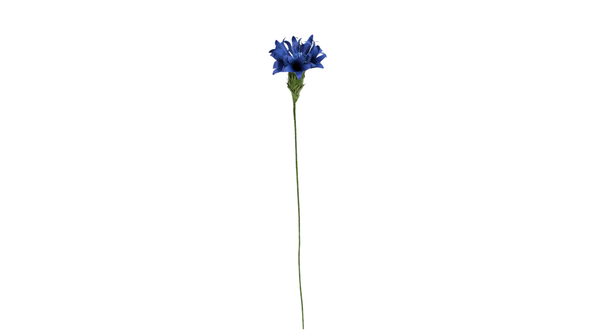 Cornflower Dark blue