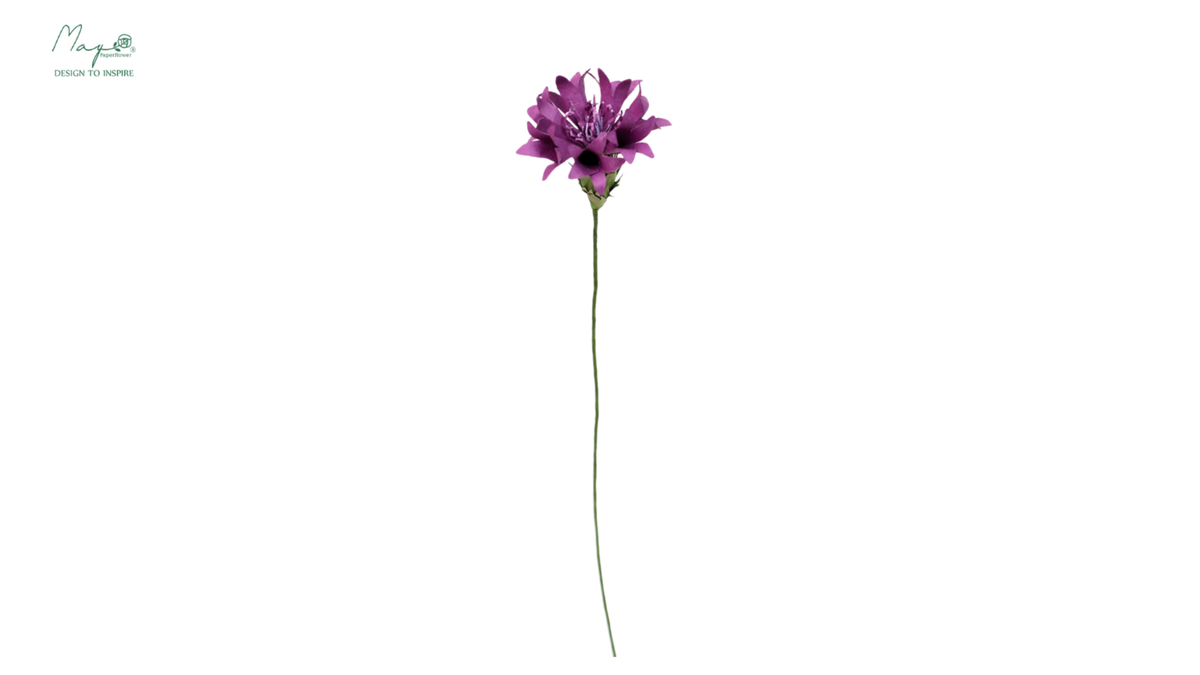 Cornflower Dark purple