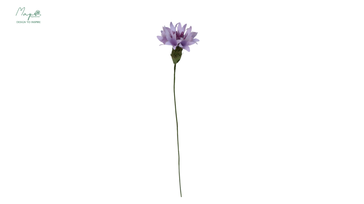 Cornflower Light purple