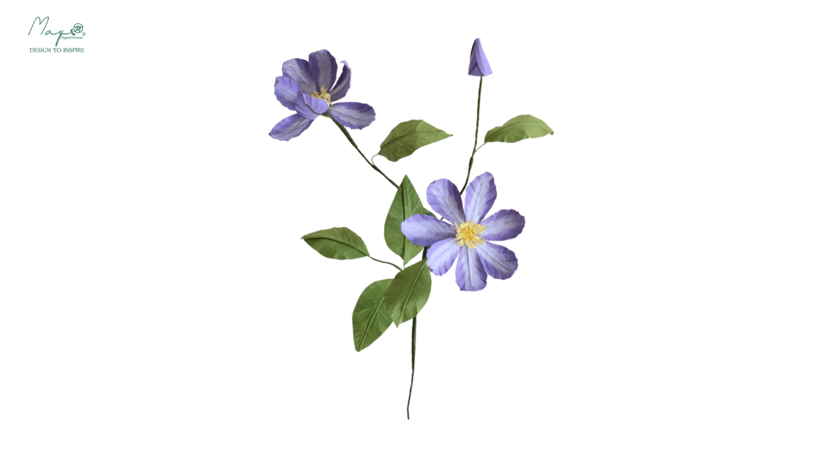 Clematis Blue