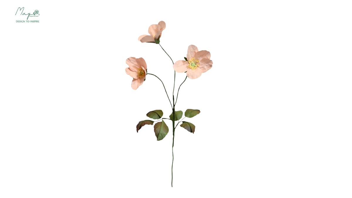 Wild Rose Pink