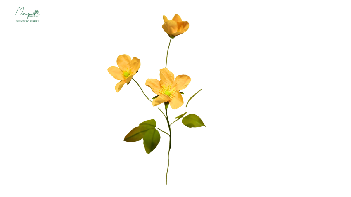 Wild Rose Yellow