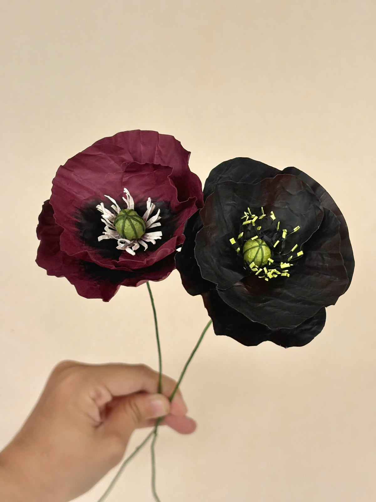 French Poppy Purple