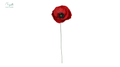 French Poppy Red