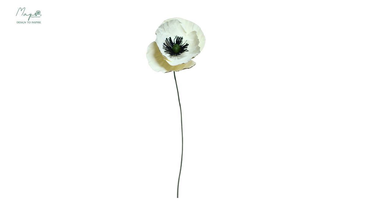 French Poppy White