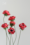 Anemone Red