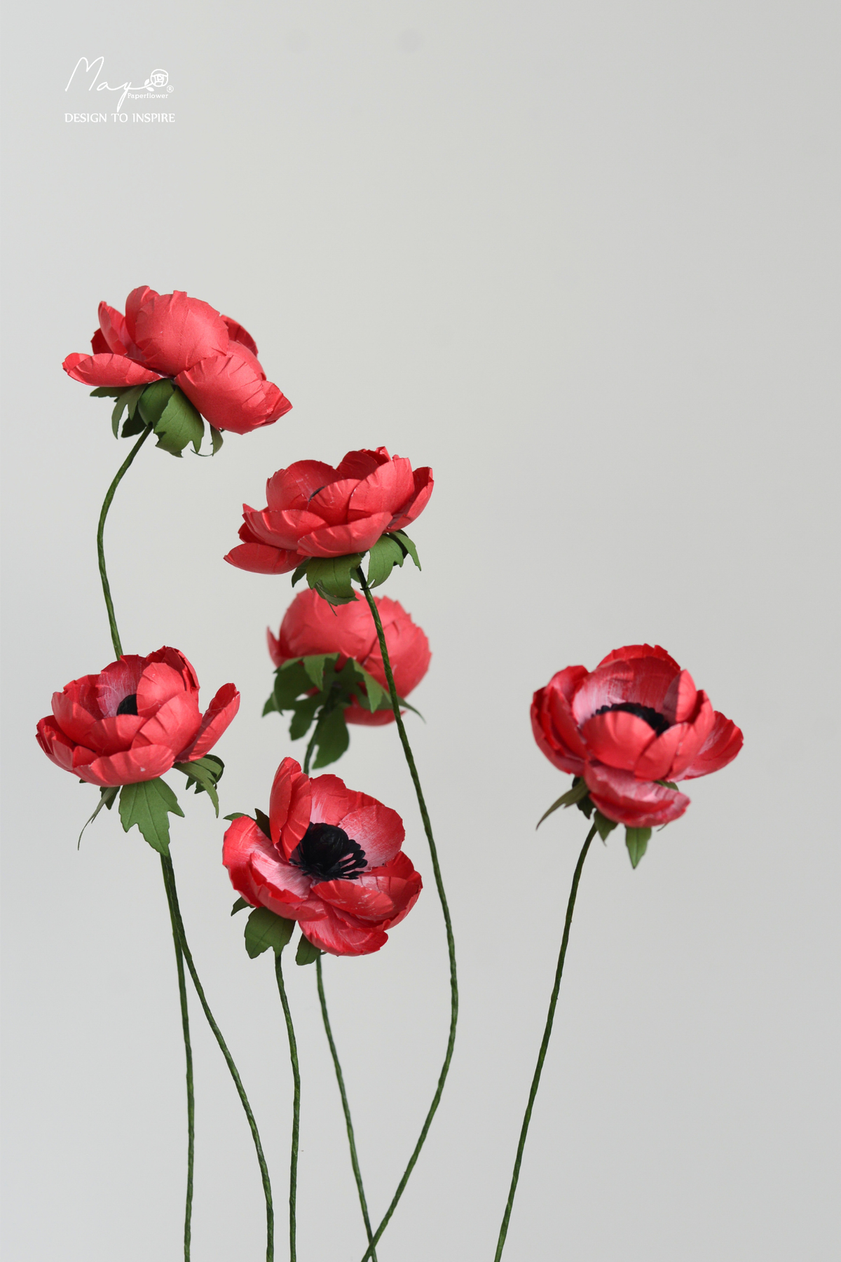 Anemone Red