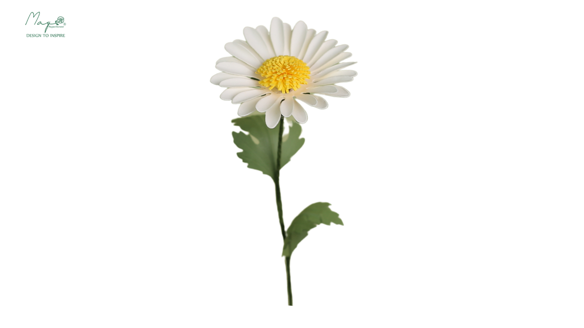 Daisy single