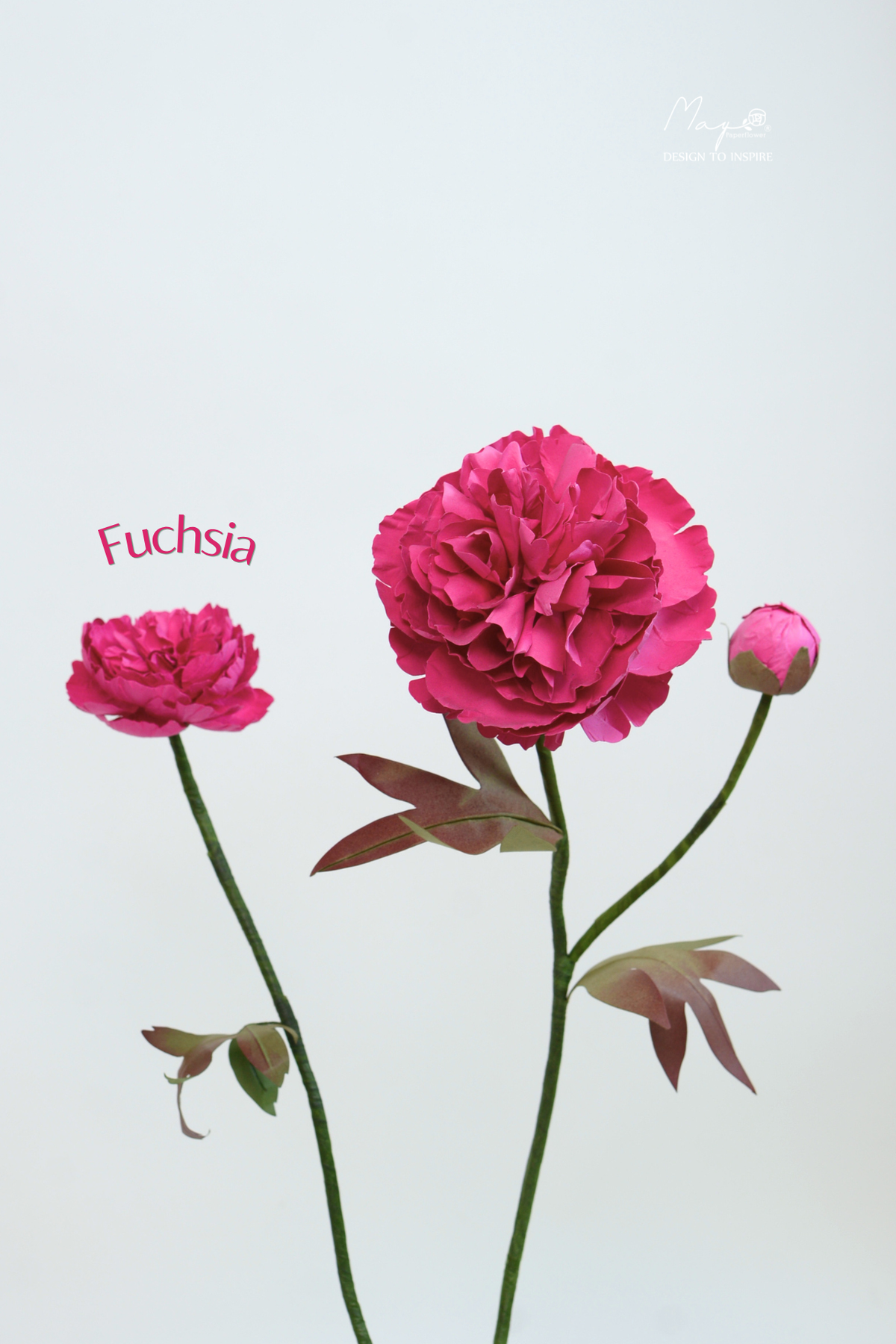 Peony Fuchsia